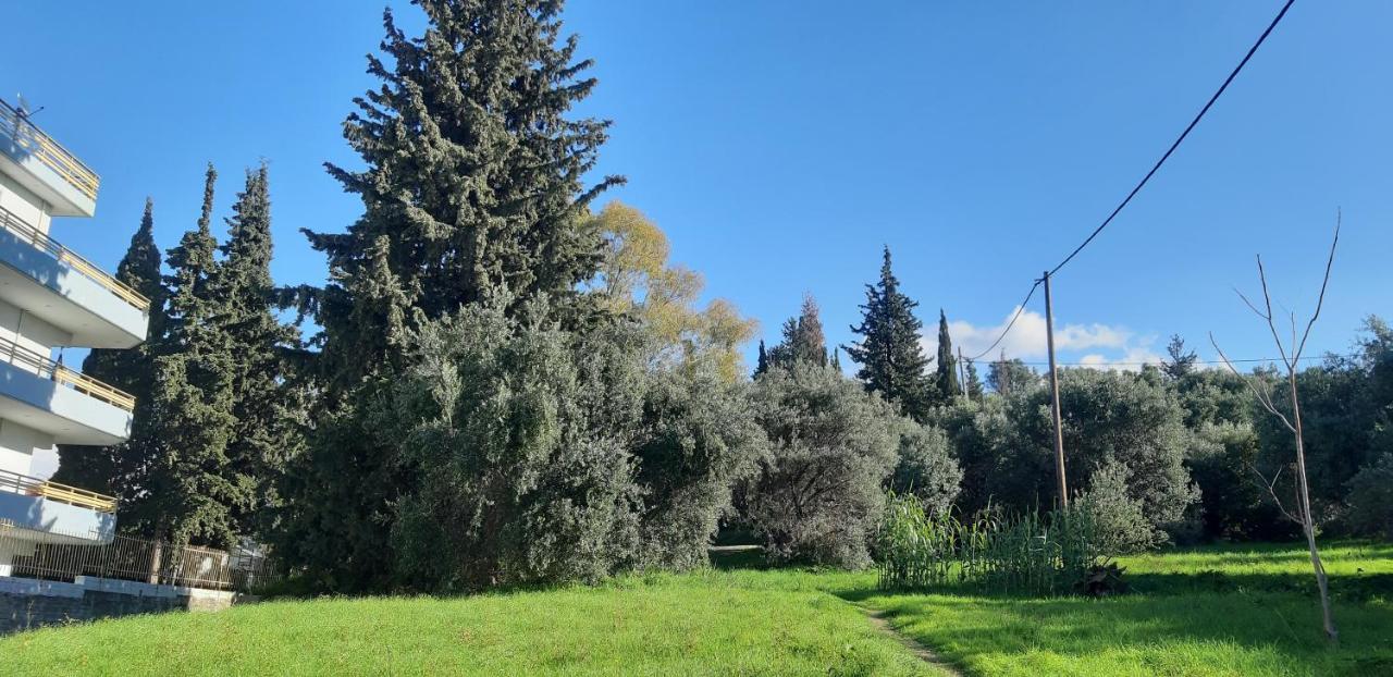 Όμορφο Studio Στην Πόλη Πάτρα エクステリア 写真
